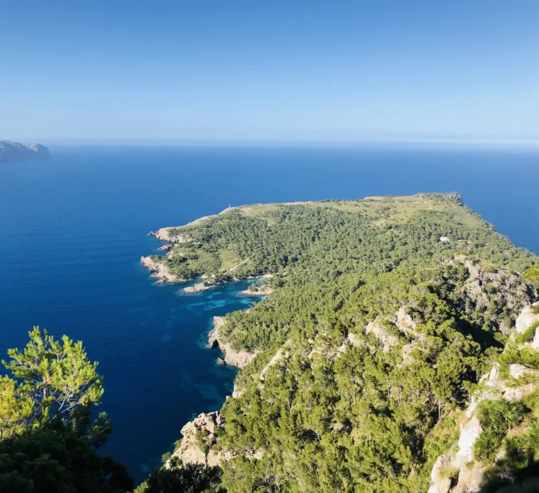 Acantilados de Cap Pinar con el faro, Mallorca Vista desde las alturas del interior de Cap Pinar con el pinar cubriendo la meseta y los acantilados cayendo al mar, con el faro al fondo, Mallorca