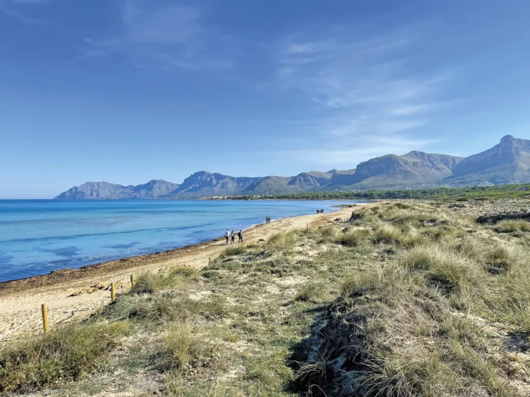 Playa de Sa Canova y costa natural de Artà, Mallorca Vista aérea de la playa de Sa Canova en Artà con dunas naturales, pinar y el mar turquesa de la Bahía de Alcúdia, Mallorca